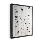birch horizontal Framed Canvas Print Gallery Image 2
