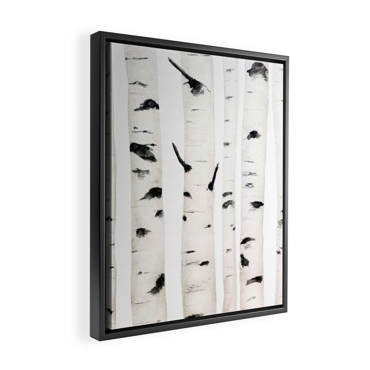 birch horizontal Framed Canvas Print Gallery Image 2