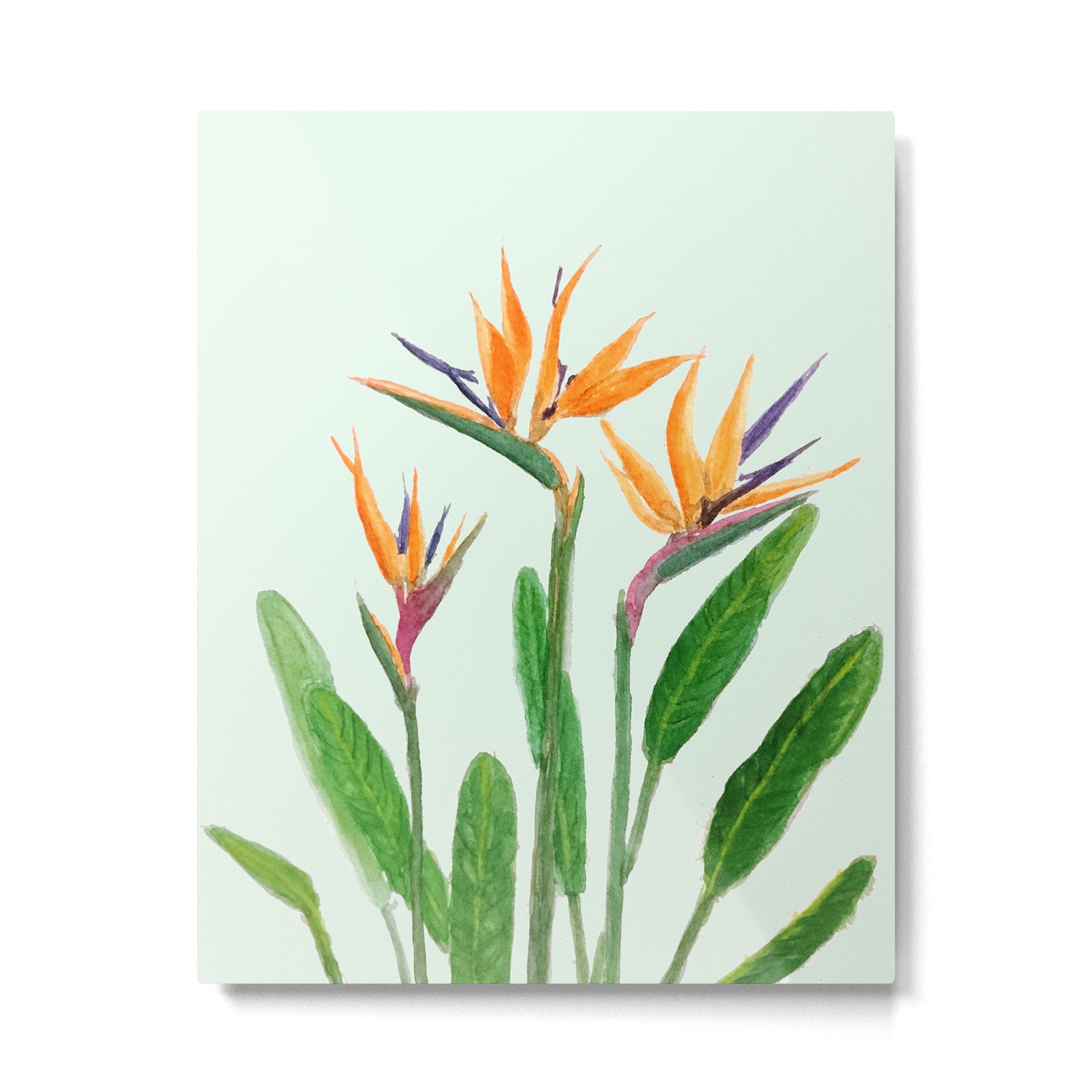 bird of paradise flower painting Metal Print Gallery Image 4