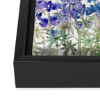 blue and purple lupin flowers horizontal  Framed Canvas Print Gallery Image 3