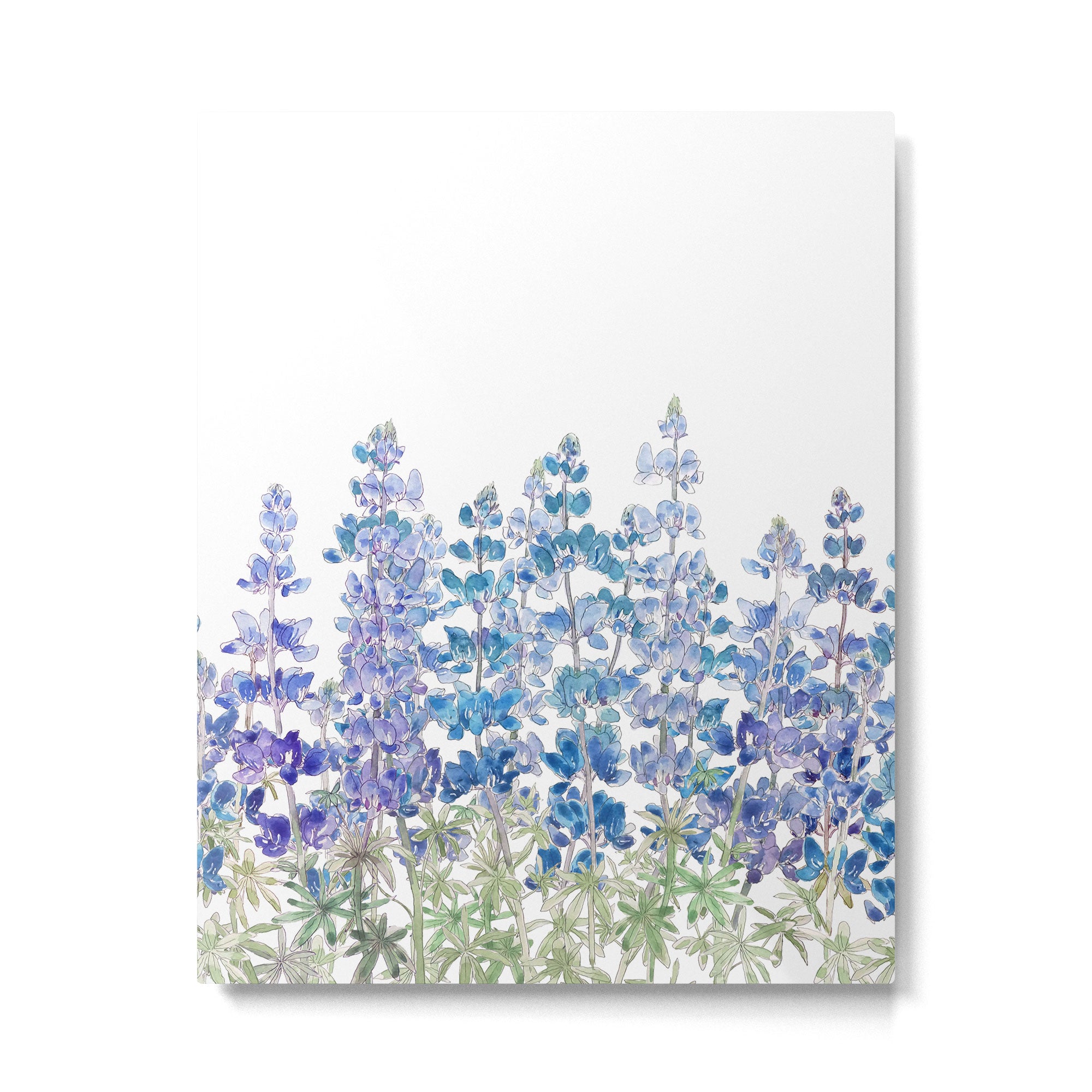blue and purple lupin flowers horizontal  Metal Print Gallery Image 6