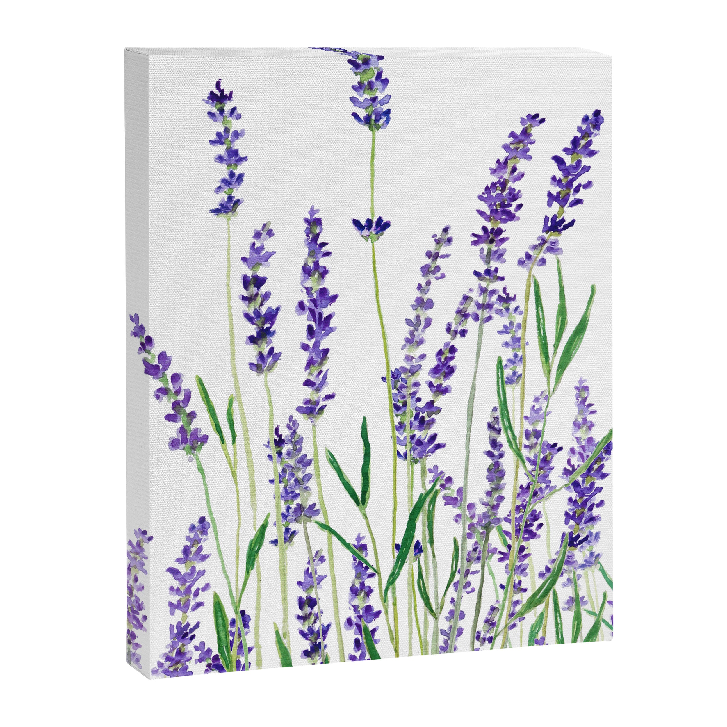 lavender watercolor horizontal Canvas Print Gallery Image 6