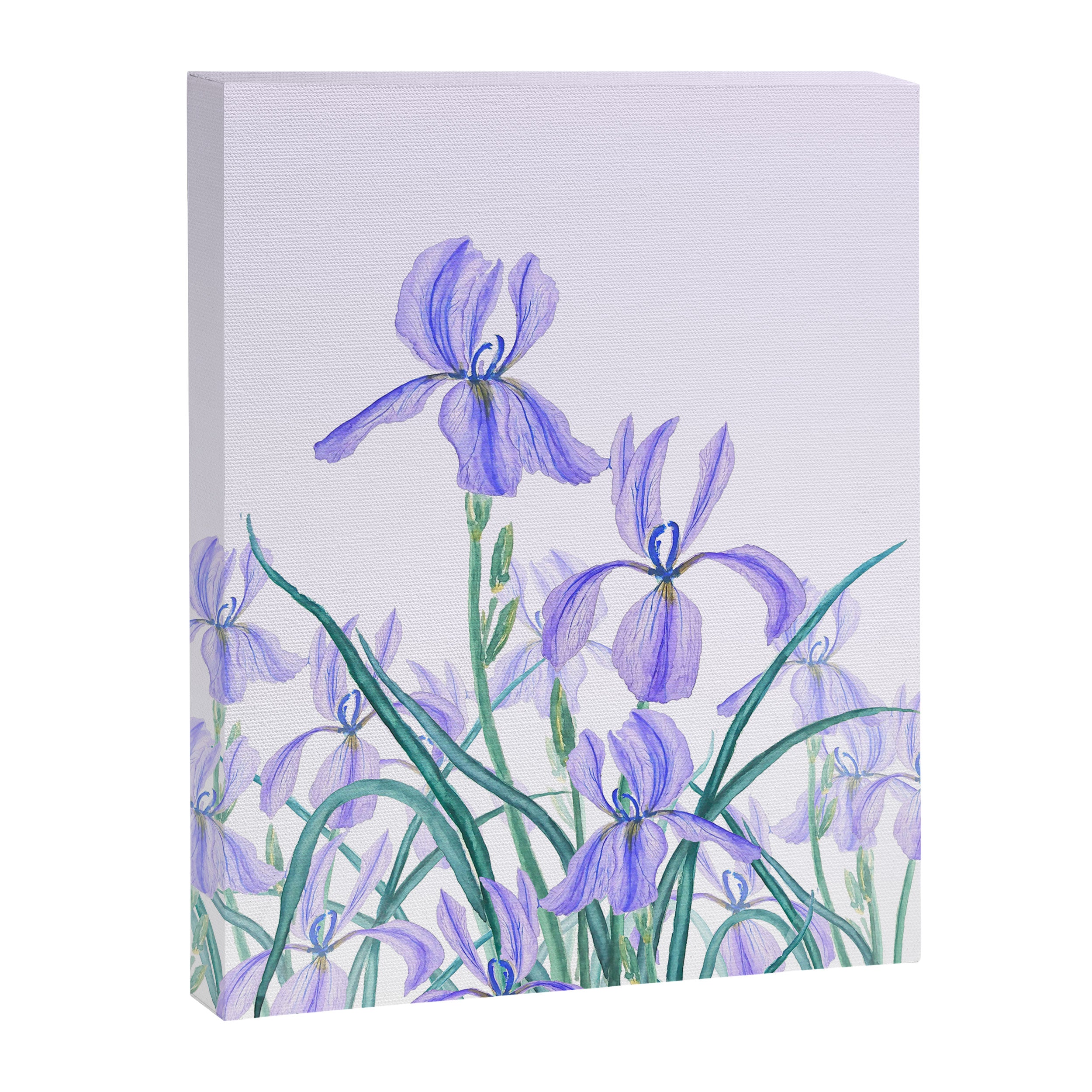 purple iris watercolor Canvas Print Gallery Image 6