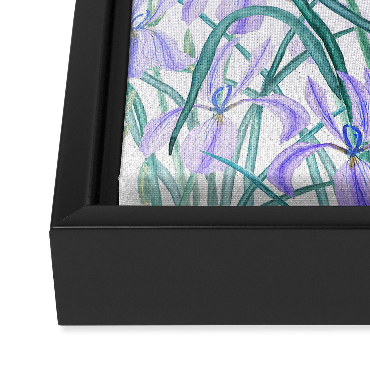 purple iris watercolor Framed Canvas Print Gallery Image 3