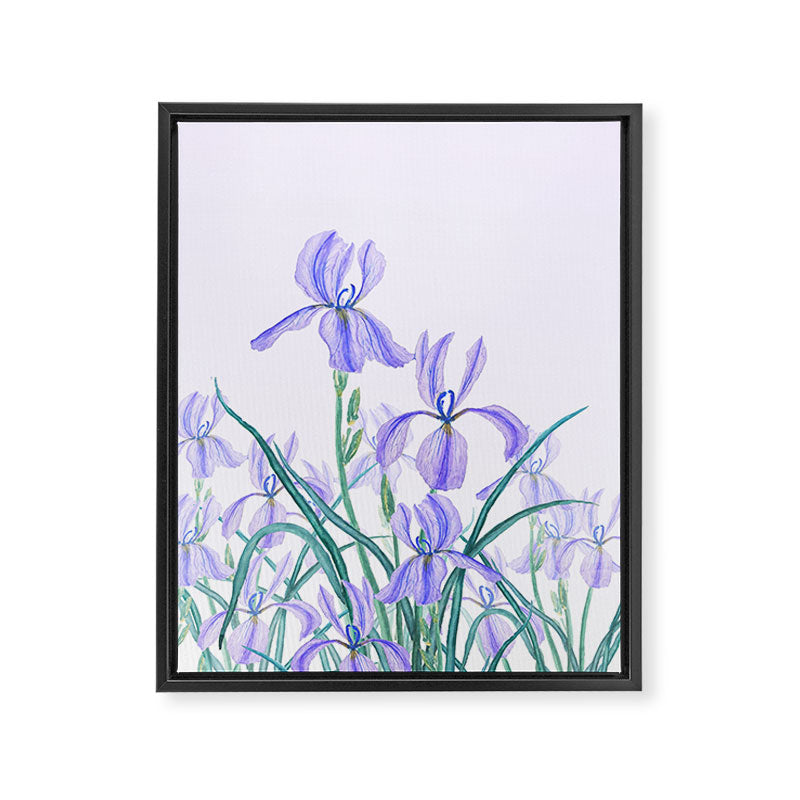 purple iris watercolor Framed Canvas Print Gallery Image 6