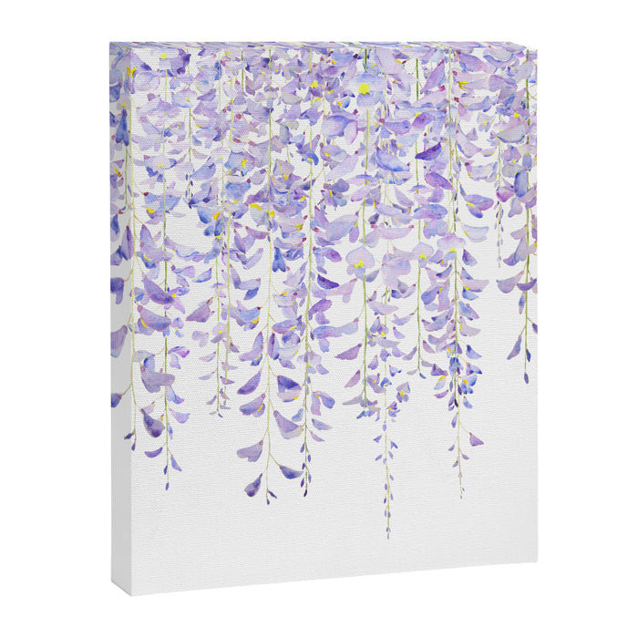 purple wisteria in bloom 2021 Canvas Print Gallery Image 1
