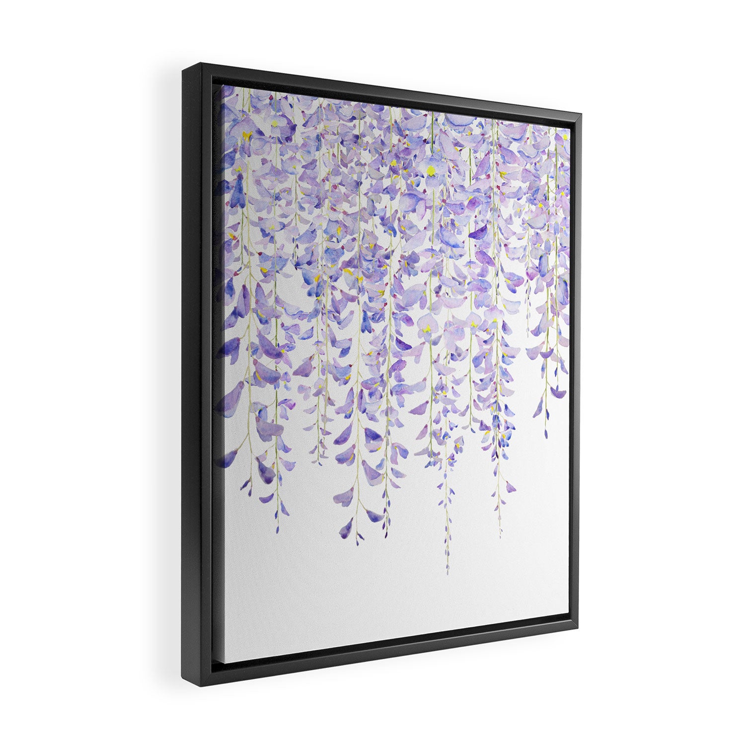 purple wisteria in bloom 2021 Framed Canvas Print Gallery Image 2