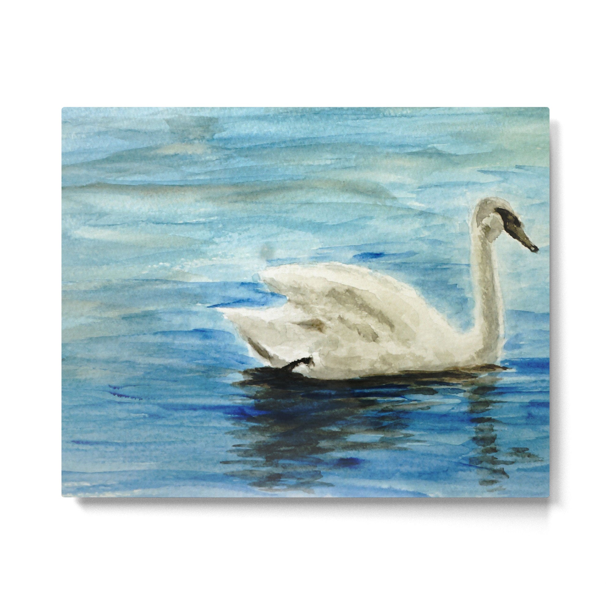 swan Metal Print Gallery Image 4