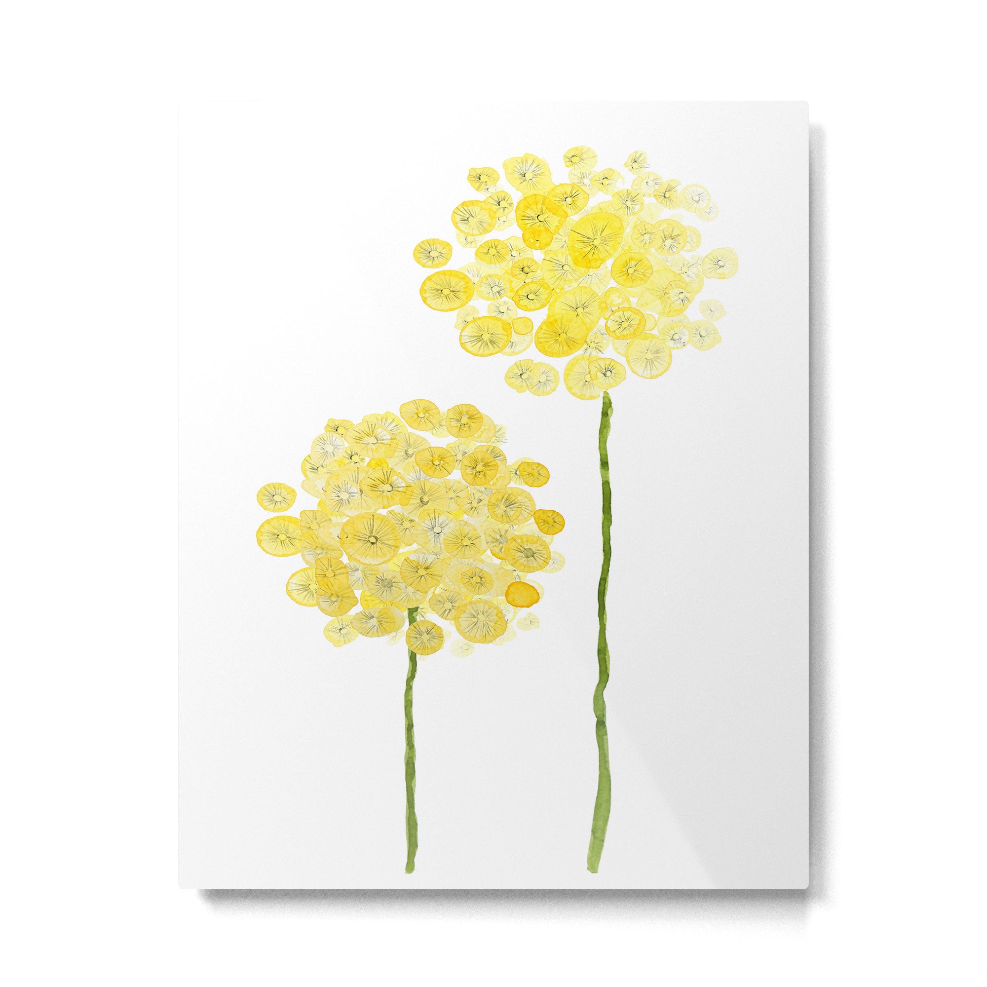 two abstract dandelions watercolor Metal Print Gallery Image 6