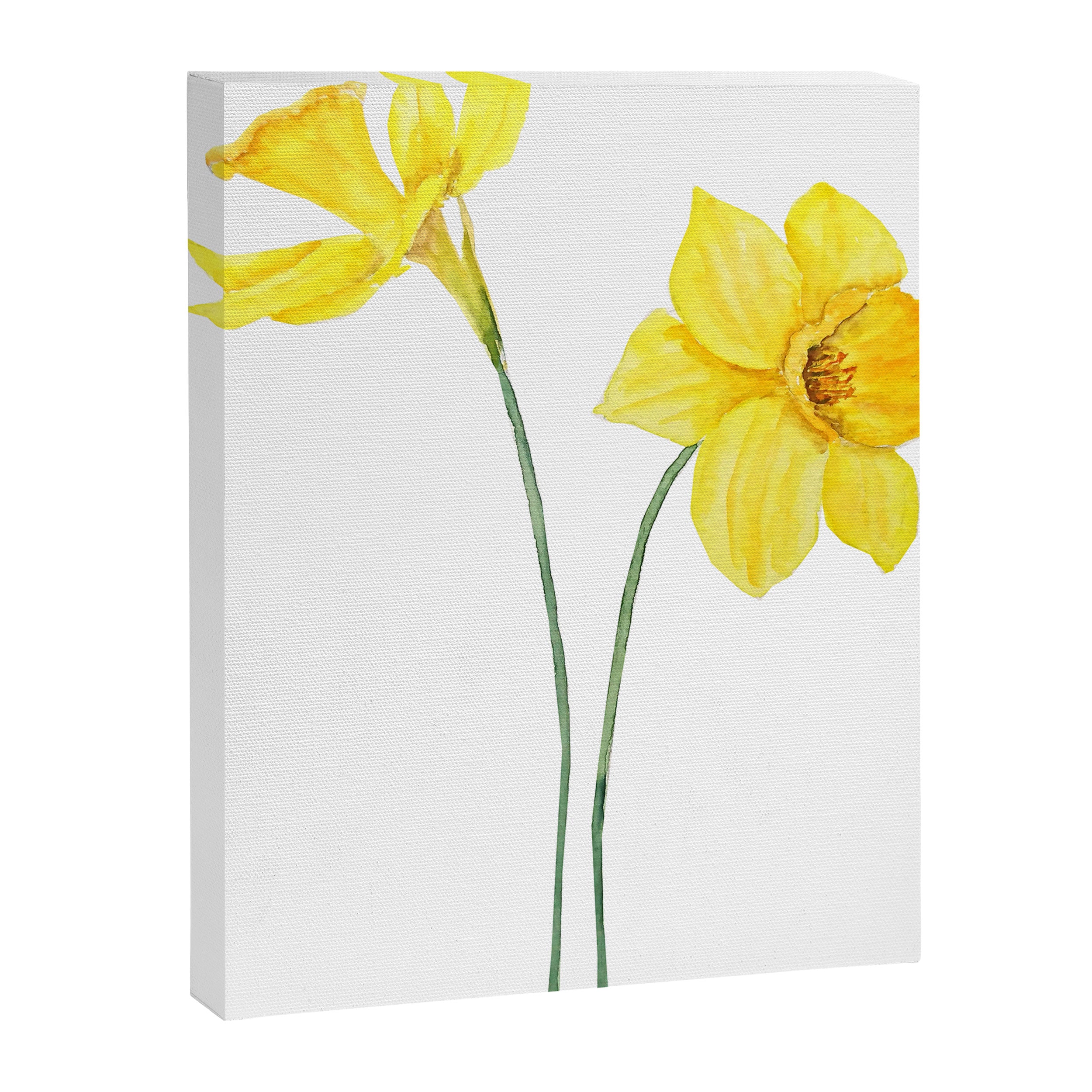 two botanical yellow daffodils watercolor Canvas Print Gallery Image 8
