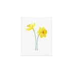 two botanical yellow daffodils watercolor Art Print Gallery Image 1