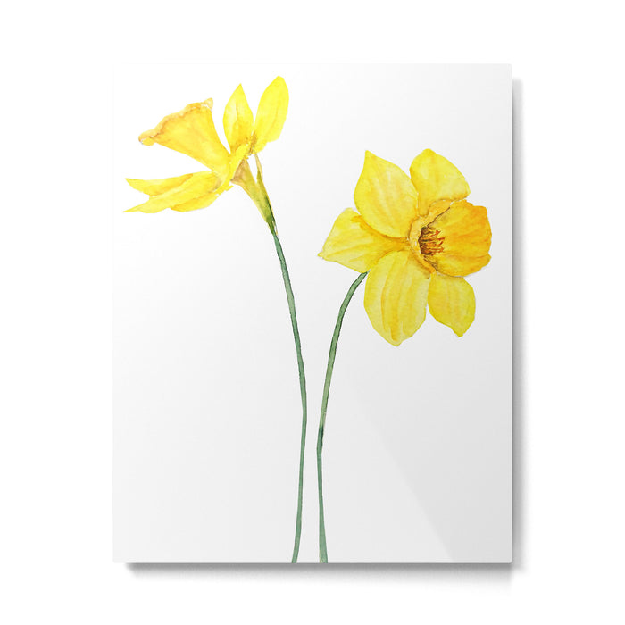 two botanical yellow daffodils watercolor Metal Print Gallery Image 1