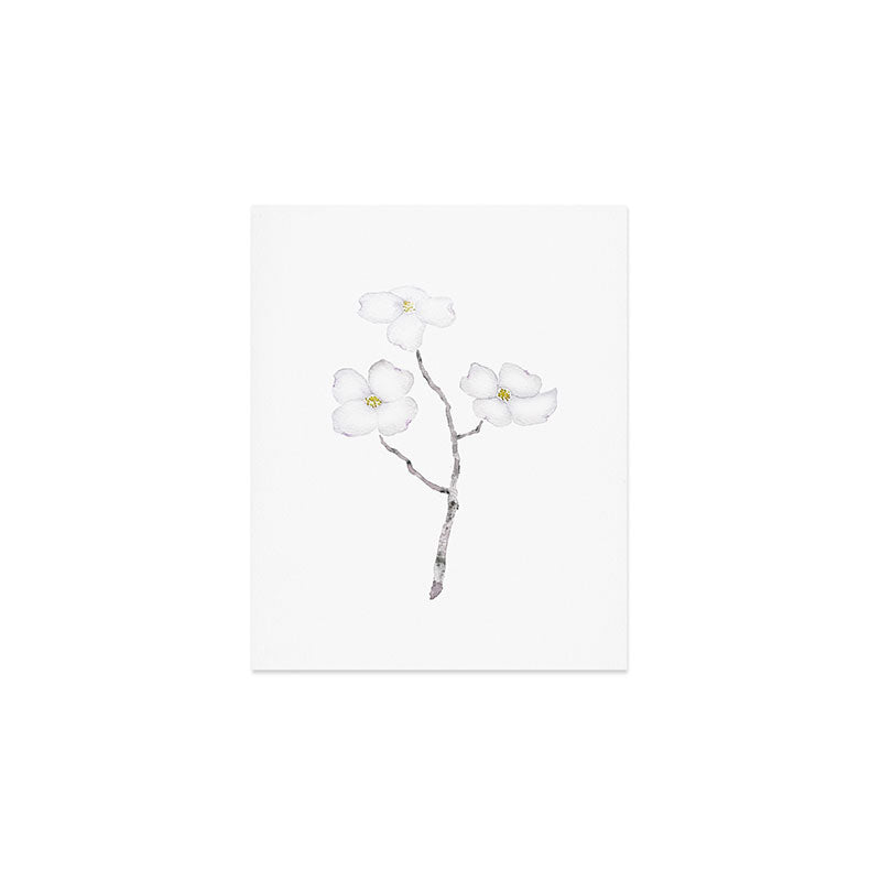 white dogwood flower watercolor Art Print Gallery Image 1