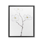 white dogwood flower watercolor Framed Canvas Print Gallery Image 6