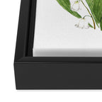 white lily of valley Framed Canvas Print Gallery Image 3