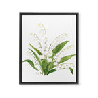 white lily of valley Framed Canvas Print Gallery Image 6