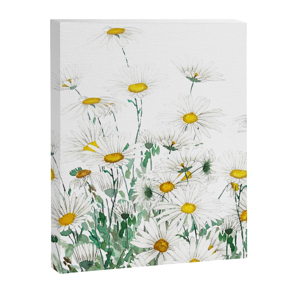 white margaret daisy horizontal watercolor painting Canvas Print Gallery Image 8