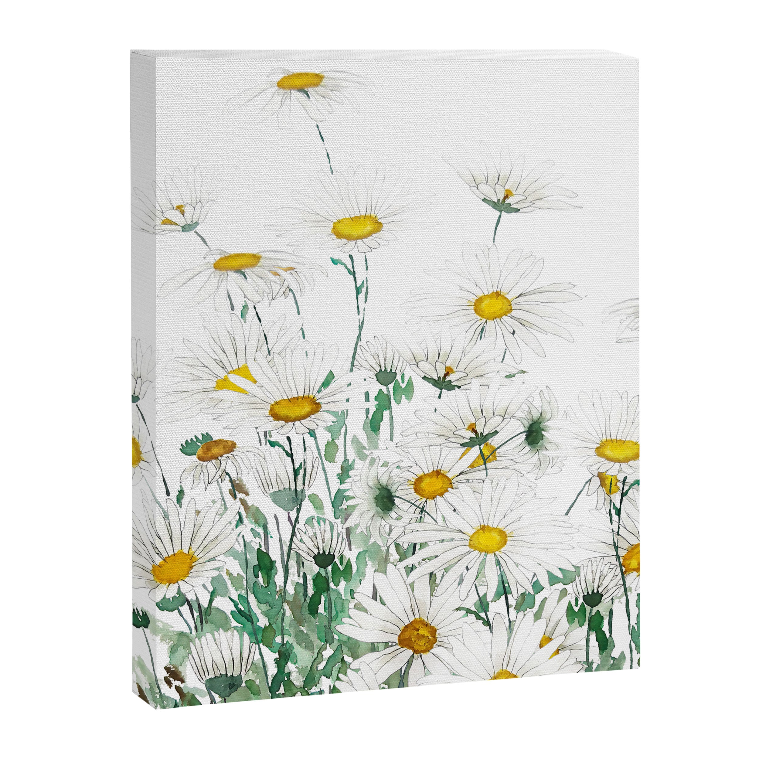white margaret daisy horizontal watercolor painting Canvas Print Gallery Image 8