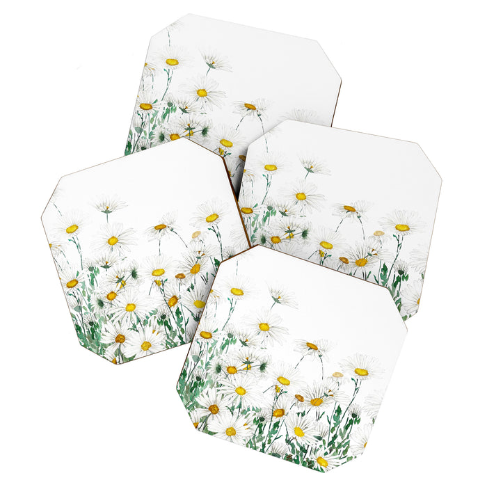 white margaret daisy horizontal watercolor painting Coaster Gallery Image 1