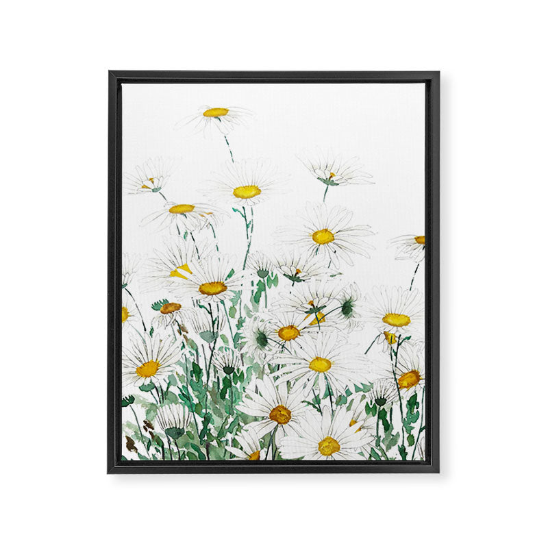 white margaret daisy horizontal watercolor painting Framed Canvas Print Gallery Image 8