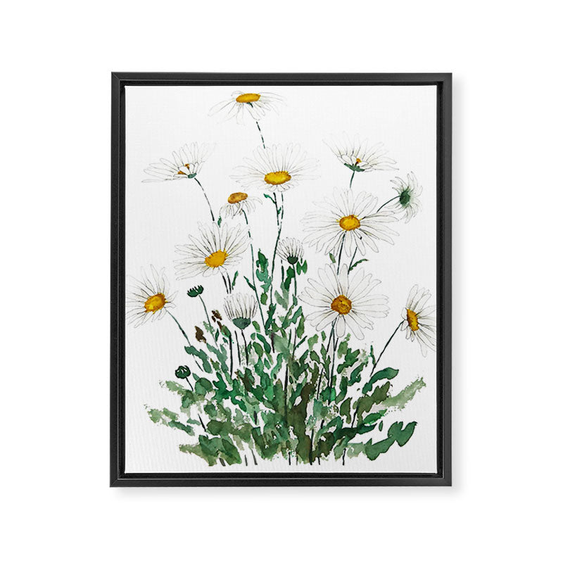white Margaret daisy watercolor Framed Canvas Print Gallery Image 8
