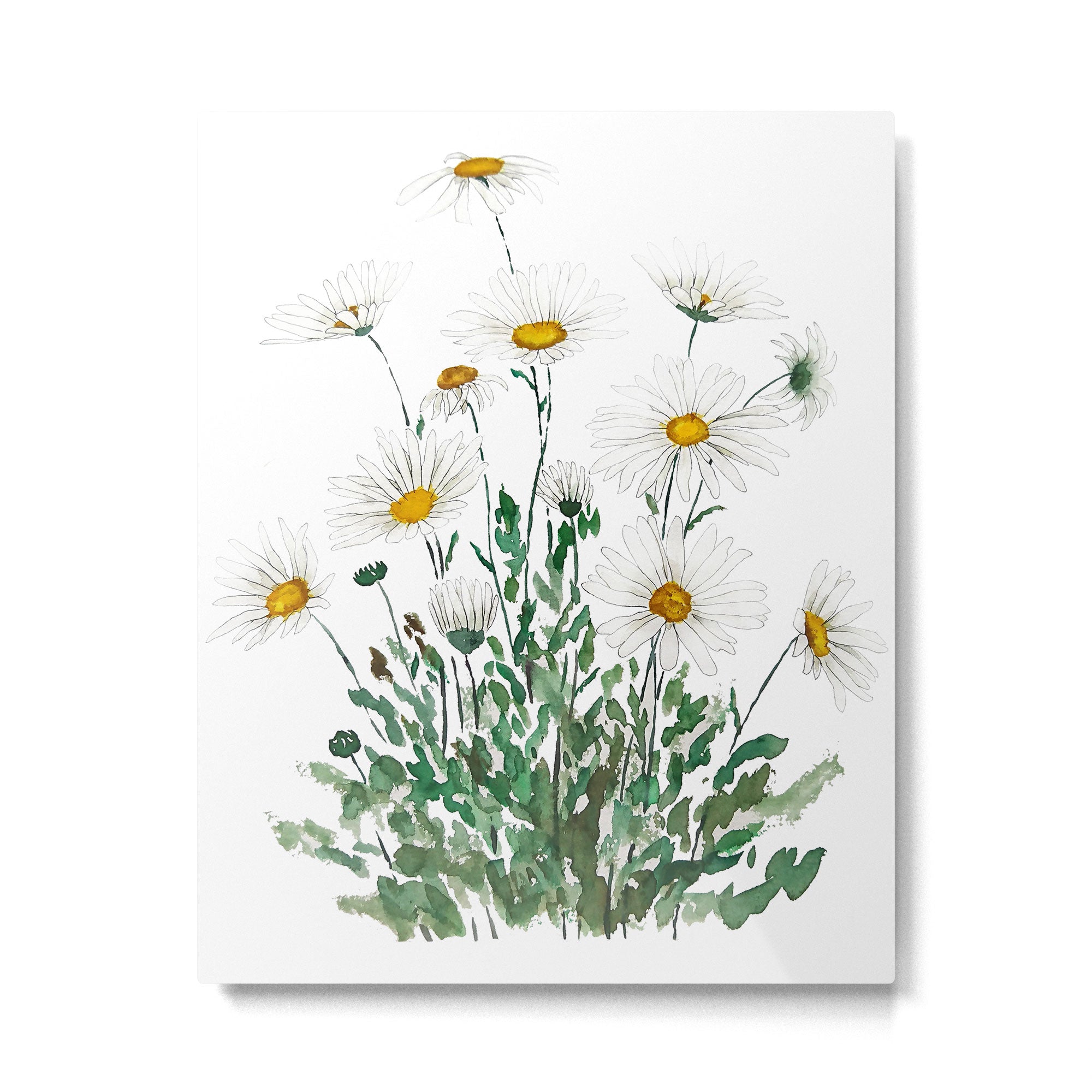 white Margaret daisy watercolor Metal Print Gallery Image 6