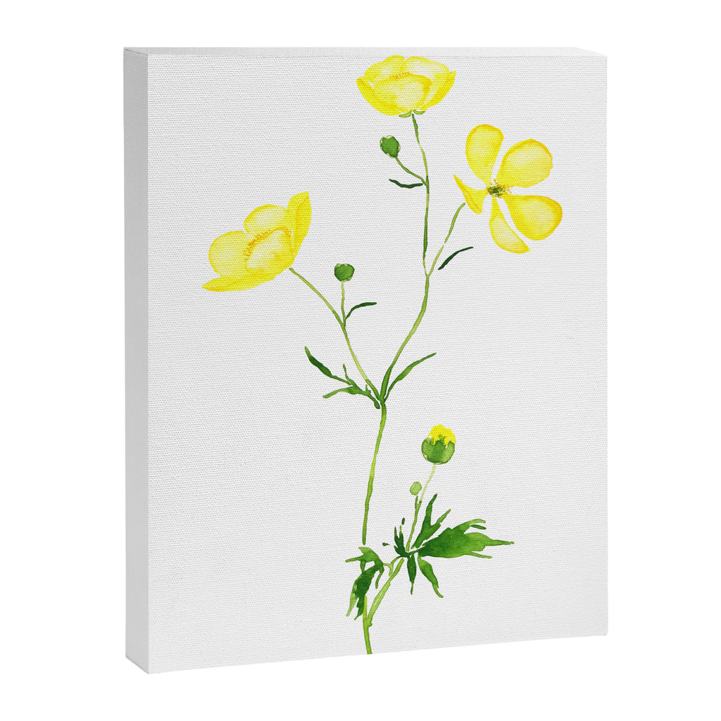 yellow buttercup flower watercolor Canvas Print Gallery Image 6