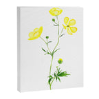 yellow buttercup flower watercolor Canvas Print Gallery Image 6