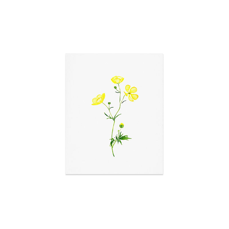 yellow buttercup flower watercolor Art Print Gallery Image 1