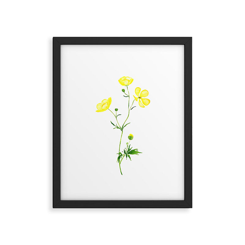 yellow buttercup flower watercolor Framed Art Print Gallery Image 5