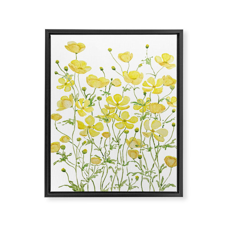 yellow buttercup flowers filed watercolor  Framed Canvas Print Gallery Image 6