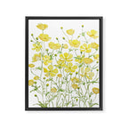 yellow buttercup flowers filed watercolor  Framed Canvas Print Gallery Image 6