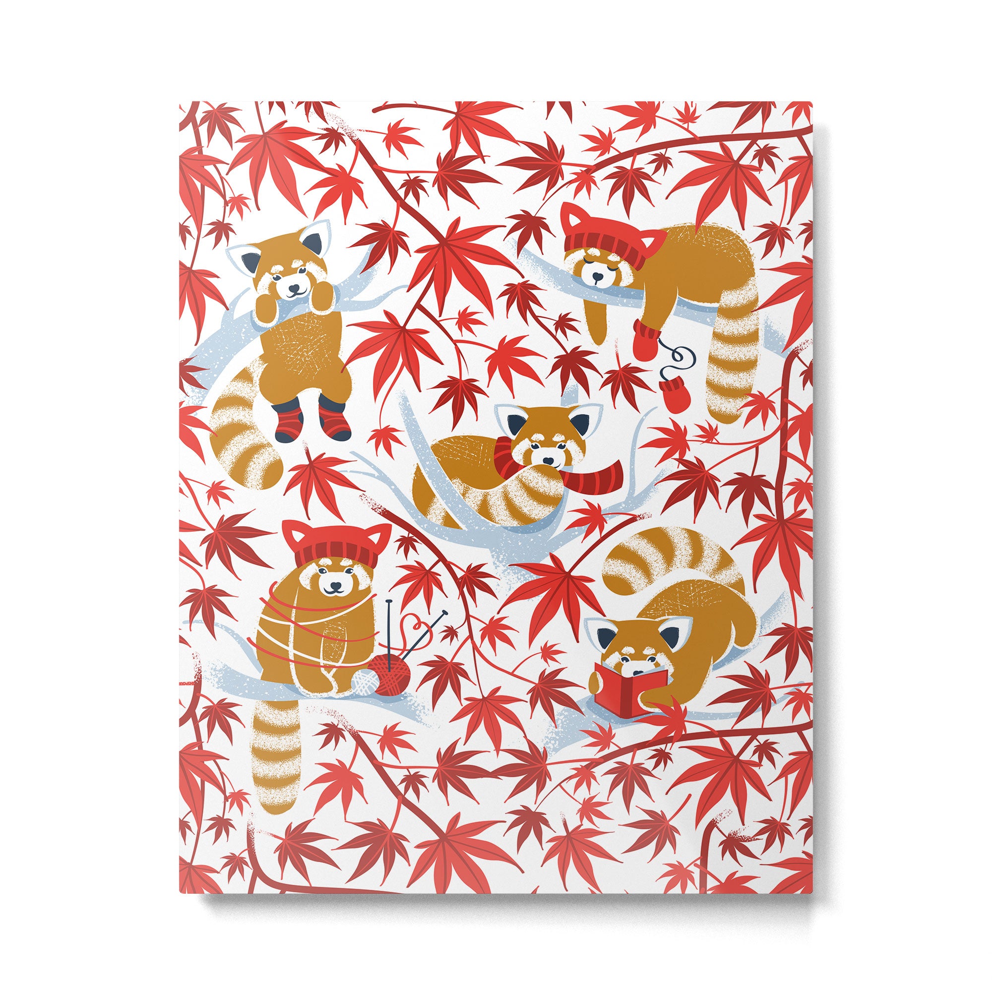 Red panda blending with the foliage // white background desert sun brown cozy animals fog blue tree branches red acer leaves Metal Print Gallery Image 6