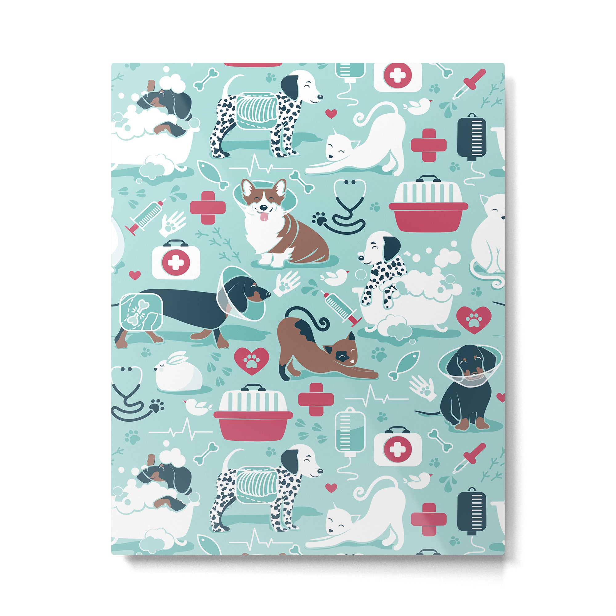 Veterinary medicine, happy and healthy friends // aqua background Metal Print Gallery Image 6