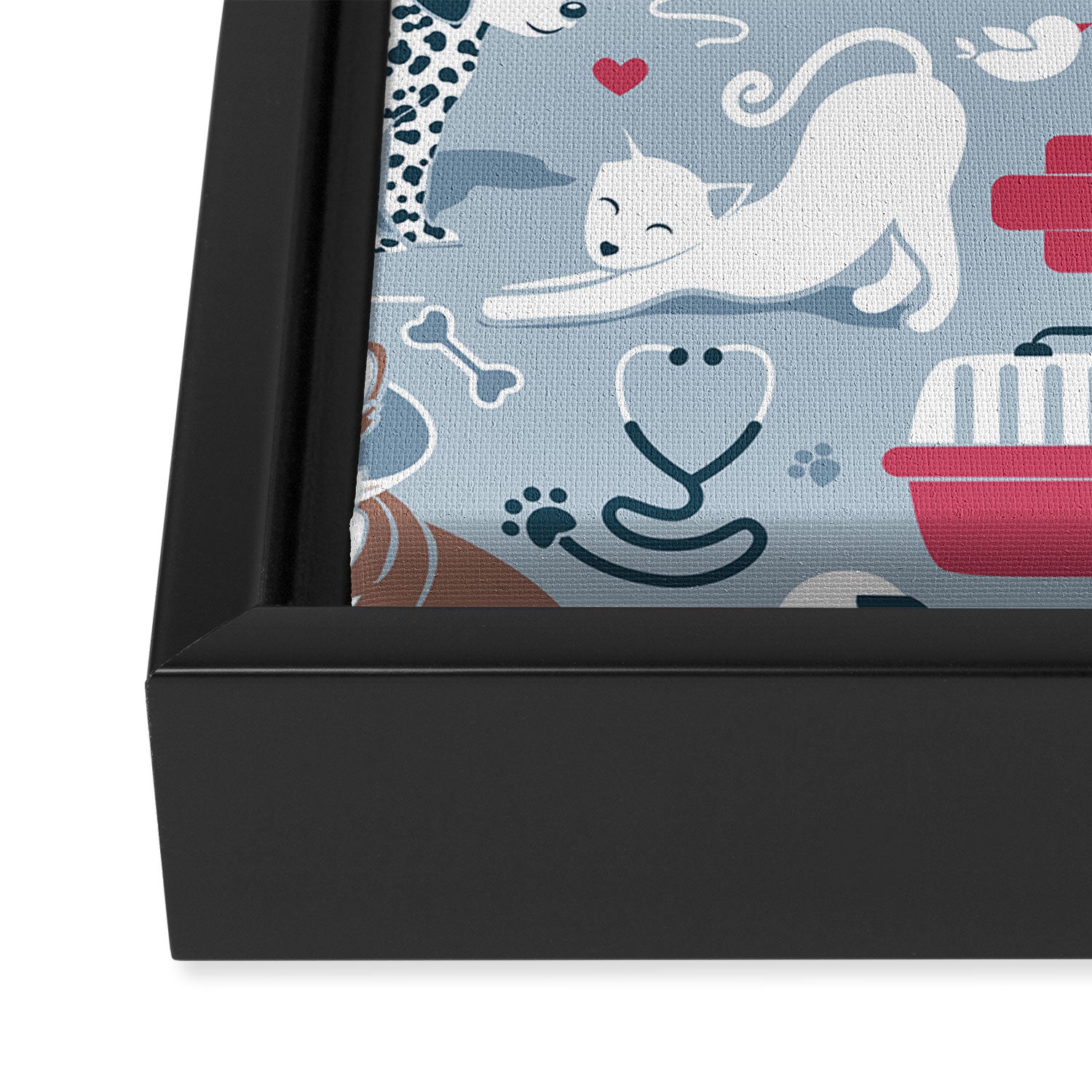 Veterinary medicine, happy and healthy friends // pastel blue background Framed Canvas Print Gallery Image 3