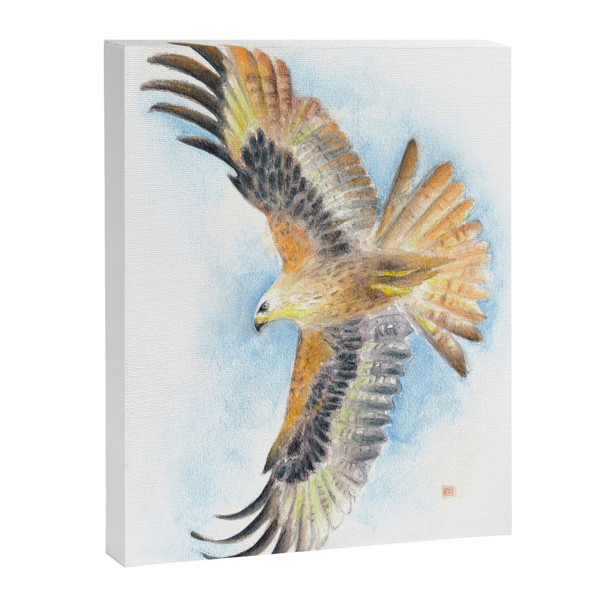 Red Tail Hawk Canvas Print Gallery Image 8