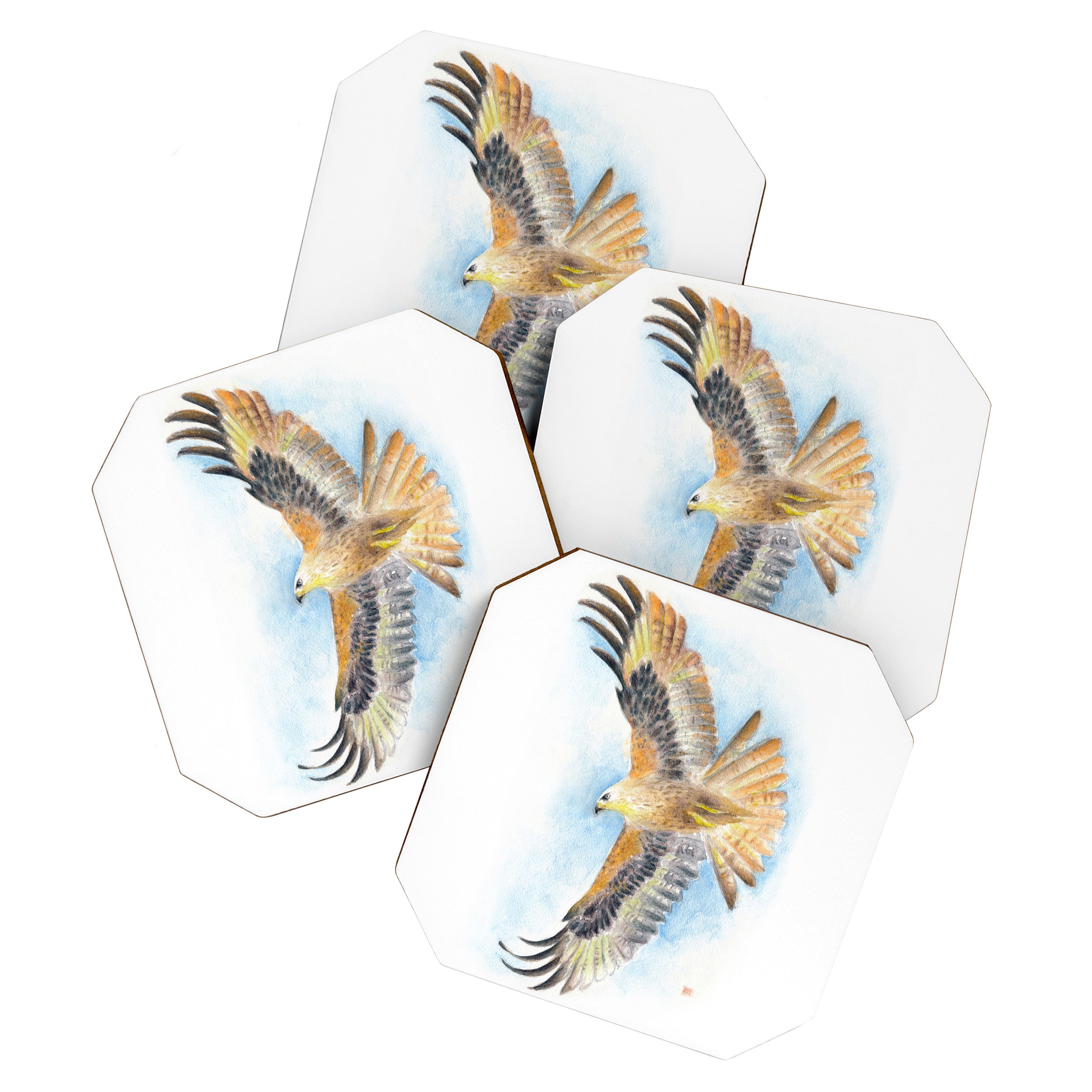 Red Tail Hawk Coaster Gallery Image 1