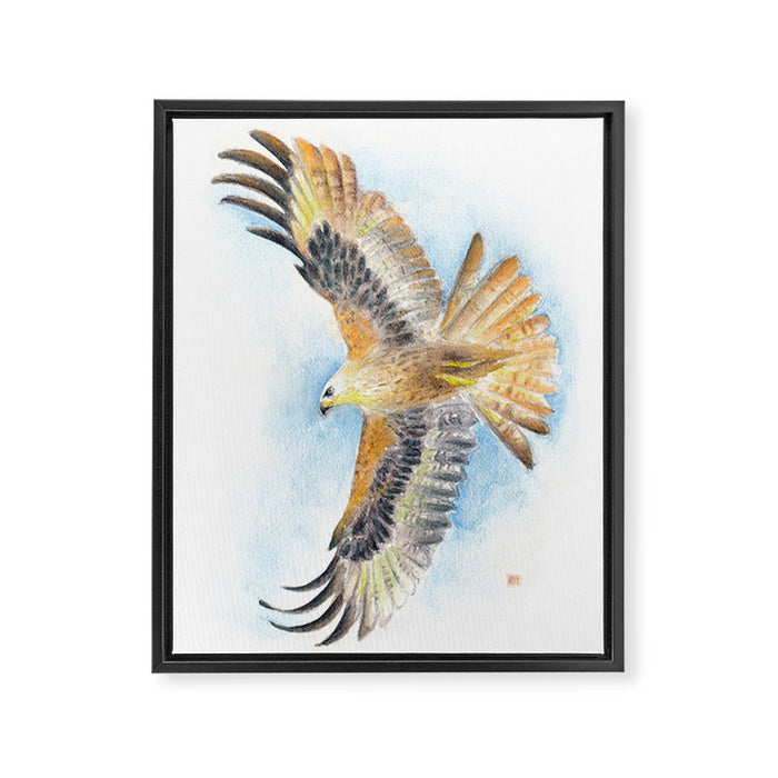 Red Tail Hawk Framed Canvas Print Gallery Image 1