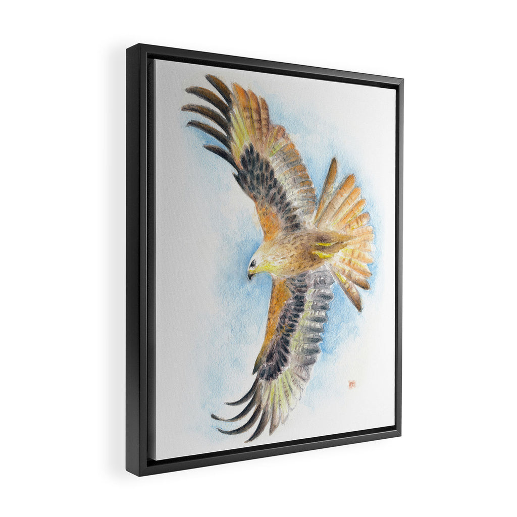 Red Tail Hawk Framed Canvas Print Gallery Image 2
