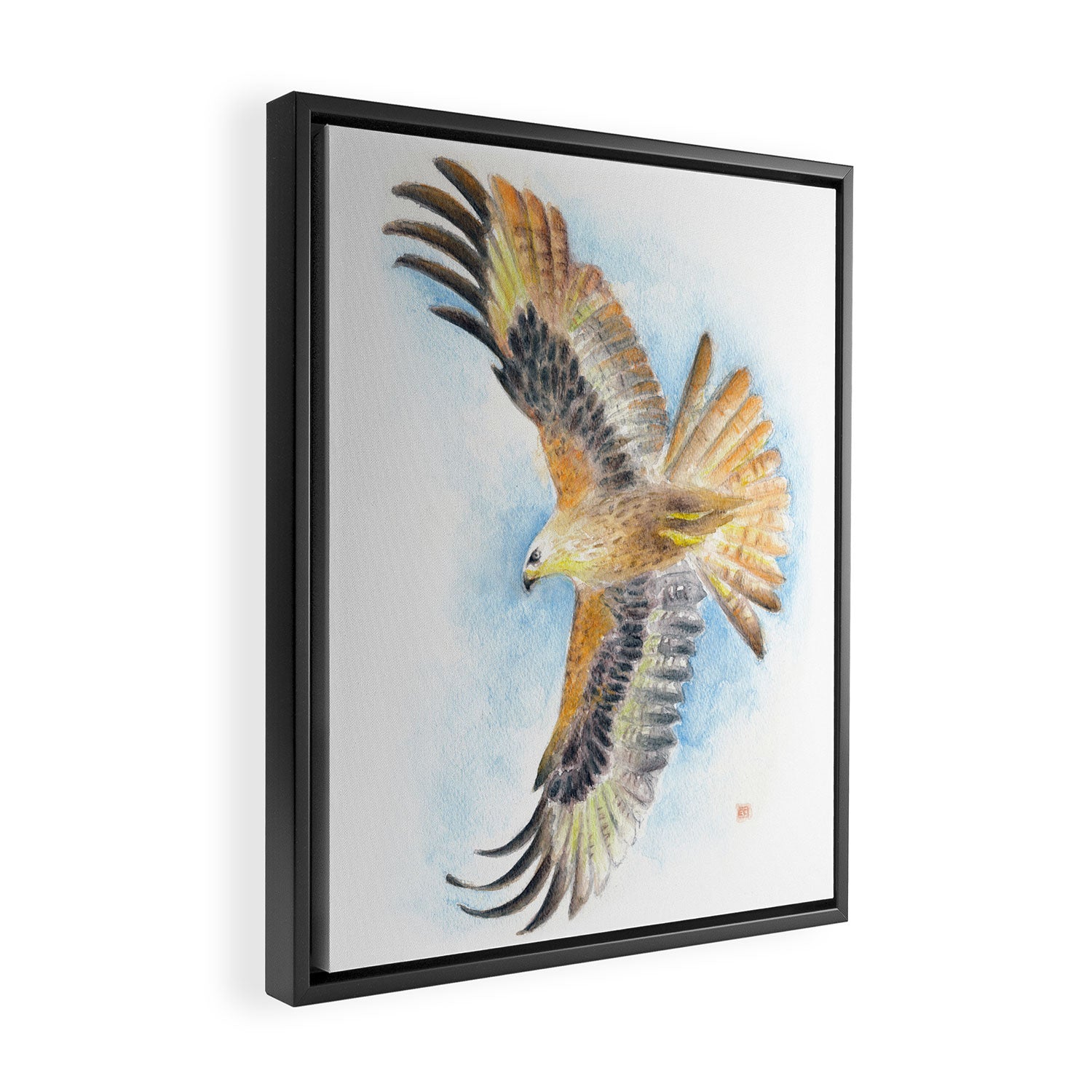 Red Tail Hawk Framed Canvas Print Gallery Image 2