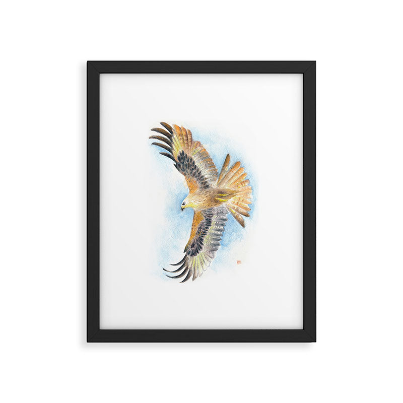 Red Tail Hawk Framed Art Print Gallery Image 6