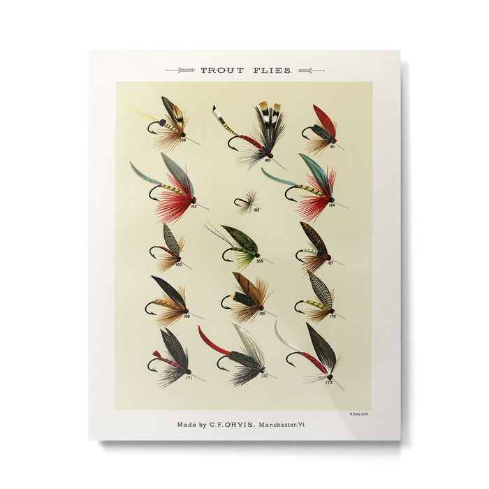 Angler Fishing Lure - Trout Fly Fishing Metal Print Gallery Image 1