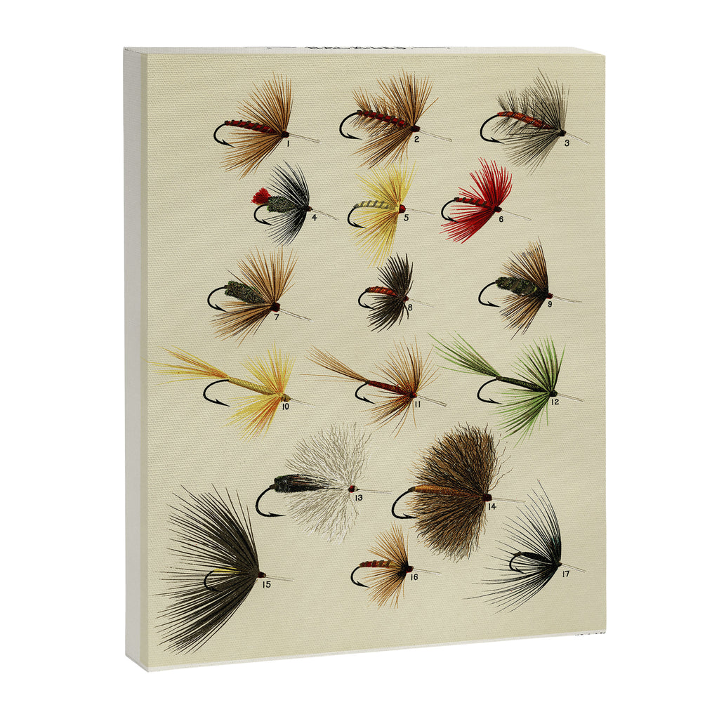 Hackles - Flies - Fly Fishing Lure Canvas Print Gallery Image 6