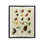 Hackles - Flies - Fly Fishing Lure Framed Canvas Print Gallery Image 6