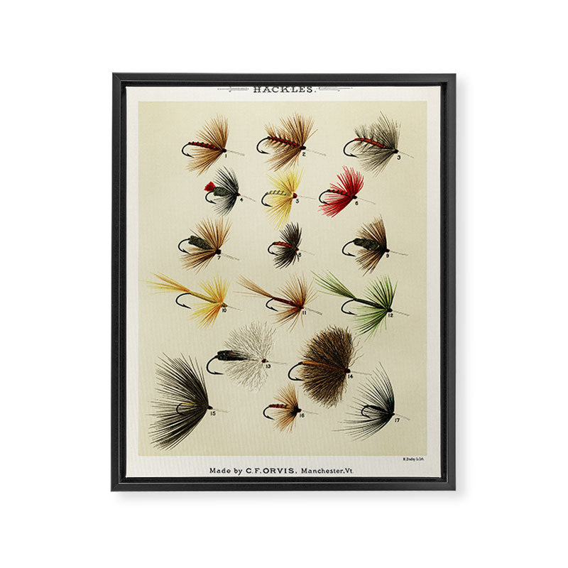 Hackles - Flies - Fly Fishing Lure Framed Canvas Print Gallery Image 6