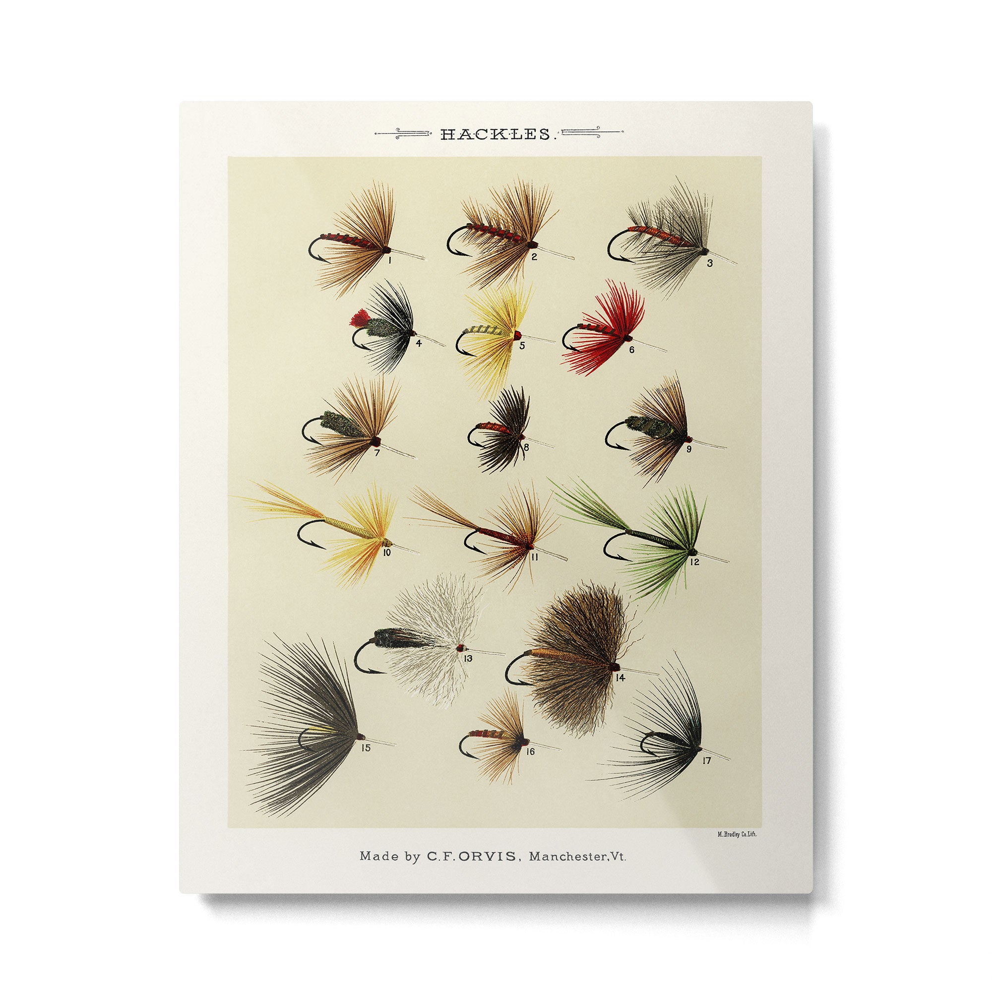 Hackles - Flies - Fly Fishing Lure Metal Print Gallery Image 4