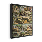 Reptile Illustration - Larousse Framed Canvas Print Gallery Image 2
