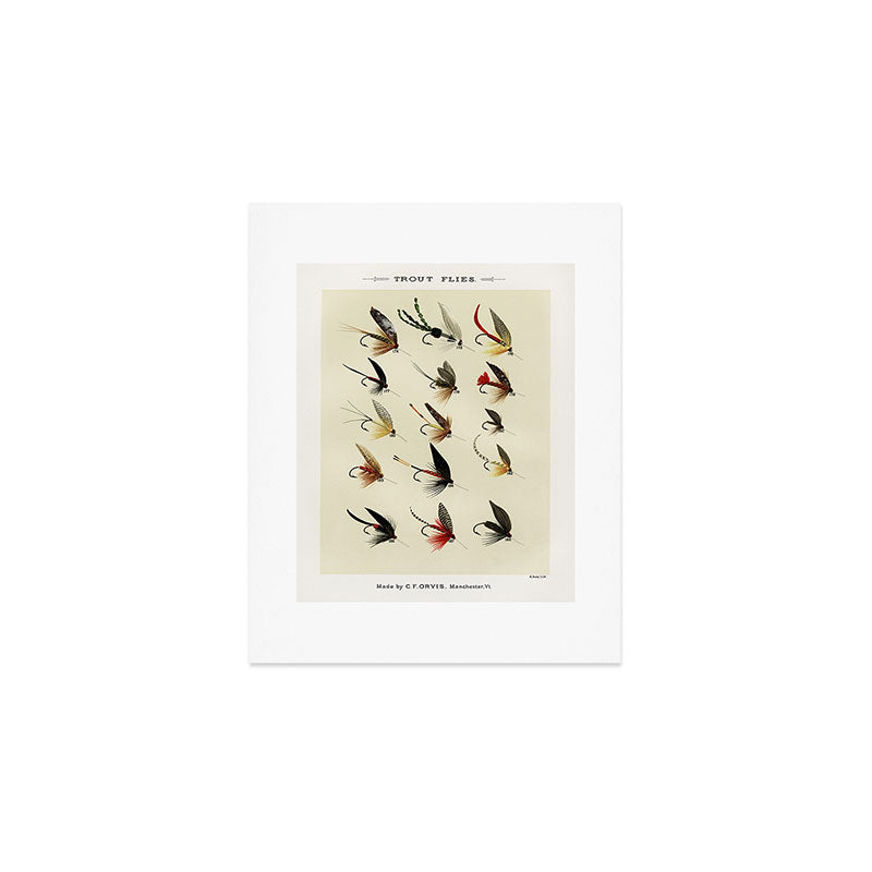 Trout Fly Fishing Art Print Gallery Image 1