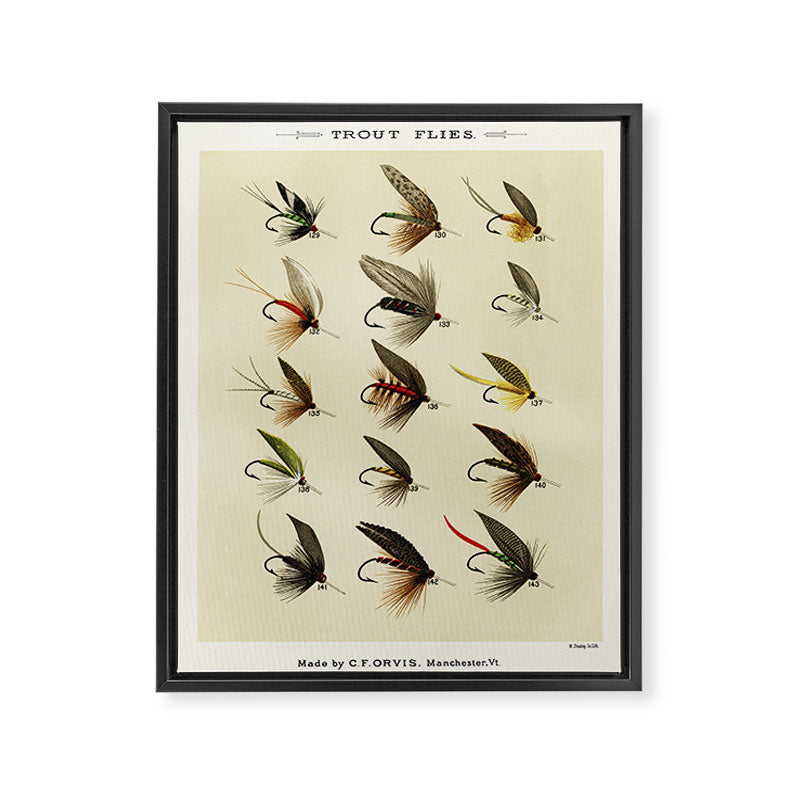 Vintage Fly Fishing Print - Trout Flies Framed Canvas Print Gallery Image 6