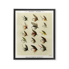 Vintage Fly Fishing Print - Trout Flies Framed Canvas Print Gallery Image 6
